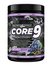 Load image into Gallery viewer, Faction Labs Core 9 EAA + BCAA