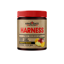 Load image into Gallery viewer, Arms Race Harness Pre Workout / 20 serves