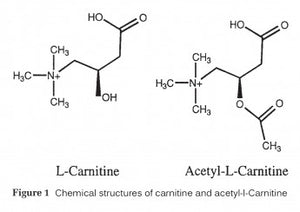 Acetyl L-Carnitine – Mass Nutrition Acetyl L-Carnitine – Mass Nutrition